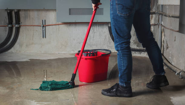 Best Basement water damage restoration  in Taft, FL