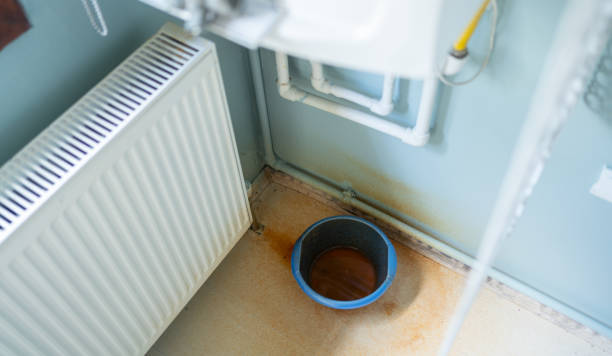 Best Flood restoration services  in Taft, FL