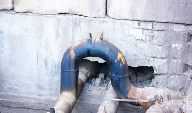 Best Sewage cleanup and water damage restoration  in Taft, FL